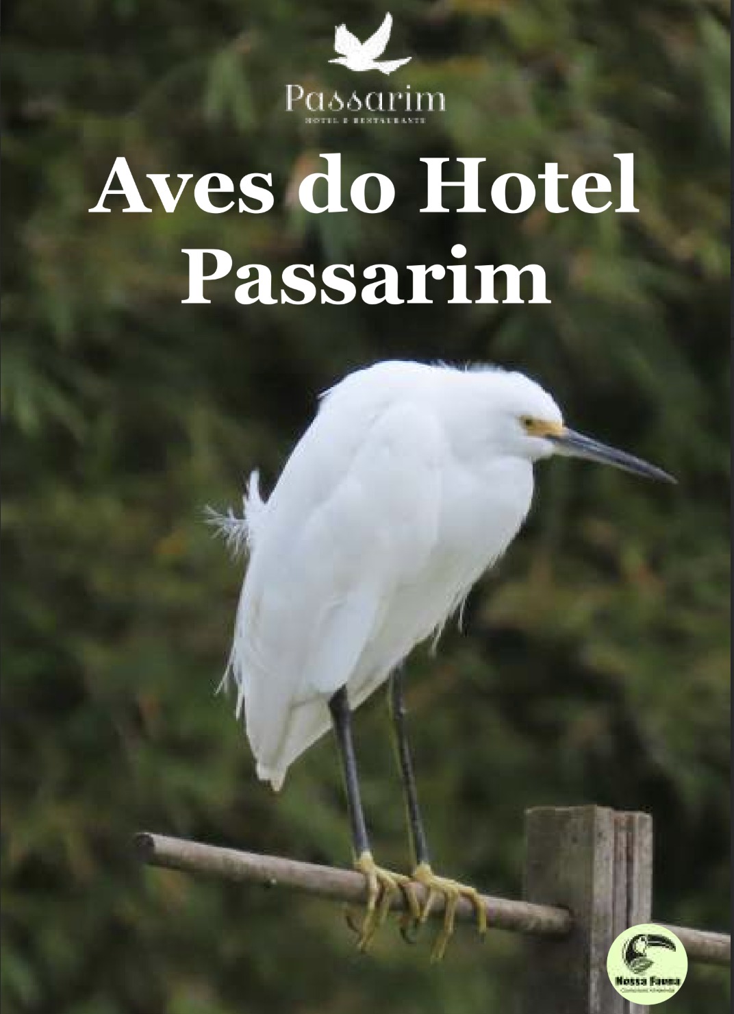 Capa do livro Aves do Hotel Passarim