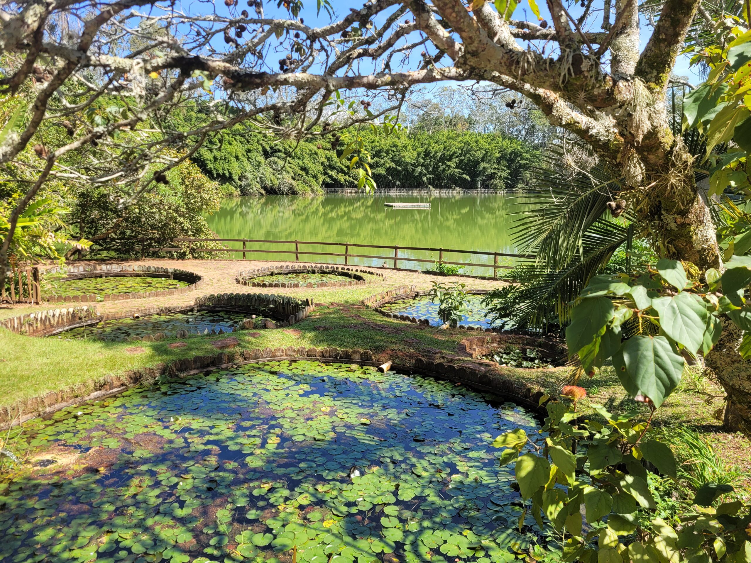 Hotel Passarim visto do lago com palmeiras imperiais