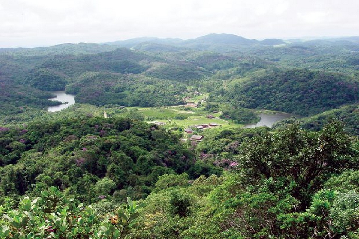 Floresta Nacional de Capão Bonito