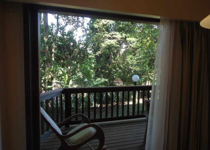 passarim foto 05 varanda natureza Varanda do apartamento com vista para a Mata Atlântica — Hotel Passarim