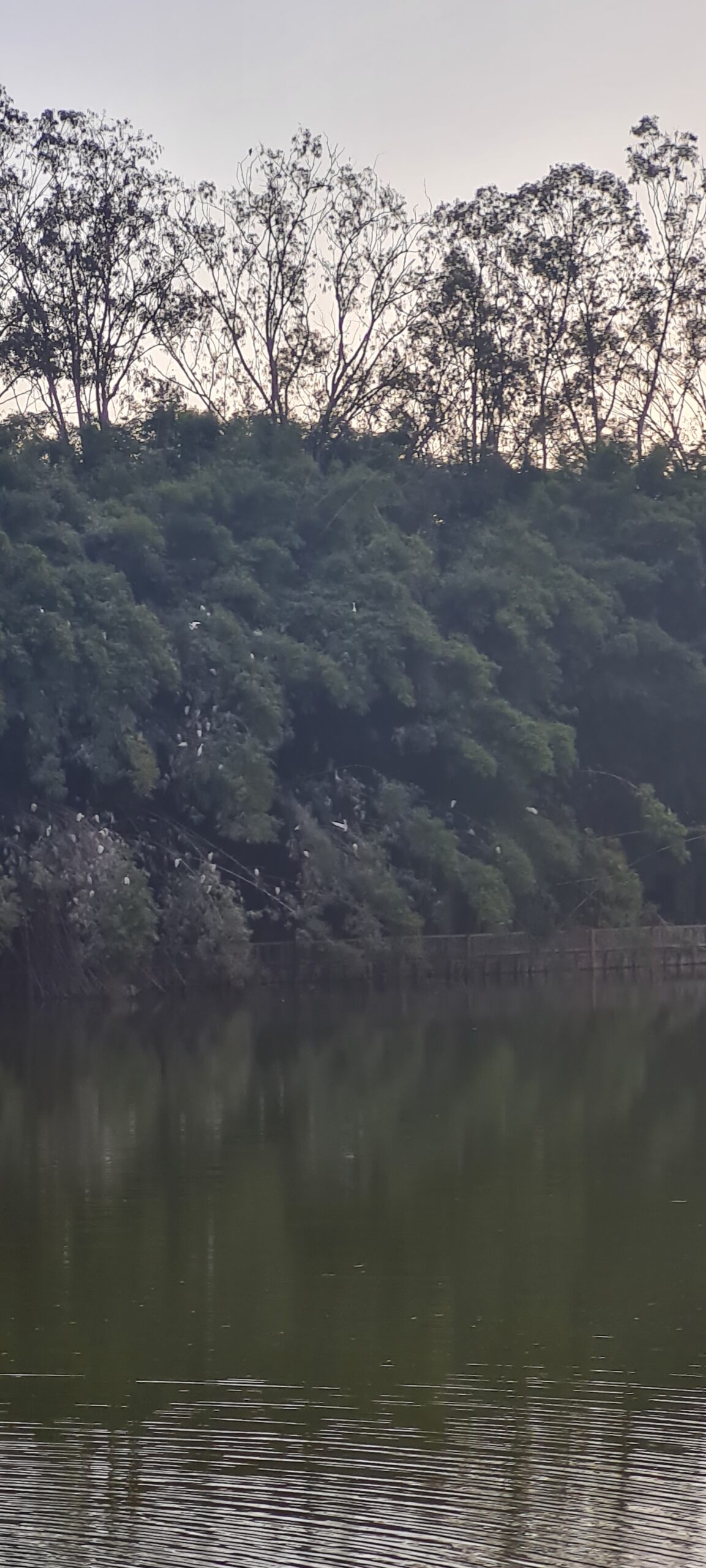 Hotel Passarim - natureza